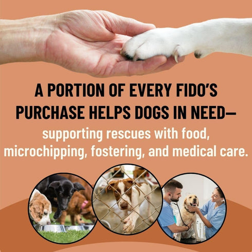 Immune 60 Fido's Longevity Bone Broth for Dogs - Turkey Tail + Maitake Mushroom - Grass-Fed Beef Bone Broth Powder