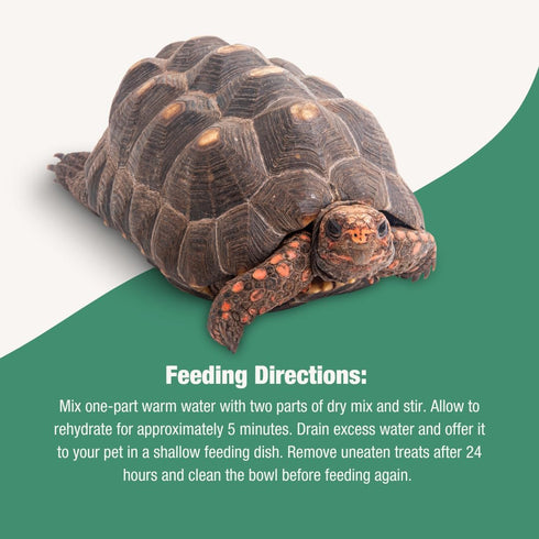 Fluker's Grub Bag, Calcium Fortified Tortoise Treats, All Natural Herbivore Blend for Tortoise and Herbivore Pets, 4 oz