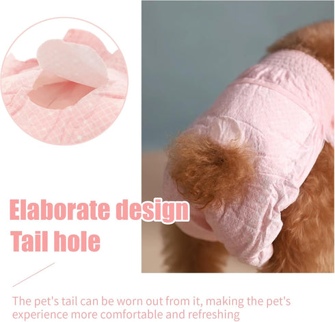 Xloey 10 Stretchy Disposable Diapers - Pcs Leak-Proof Pull-ups for Cats & Female Dogs in Heat, Incontinence & Training