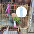 8 Pcs Small Bird Removable Transparent Bowl, Parrot Food Feeder with Small Food Cups for Canary Finch Parrot Small