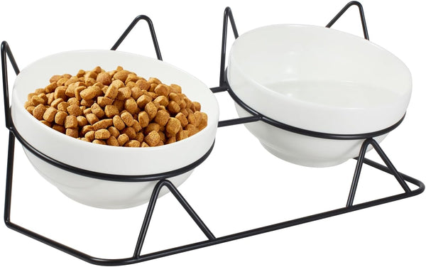 Elevated Tilted Cat Bowls for Indoor Cats, Raised 15° Ceramic Cat Bowl for Food and Water, Anti Vomiting Bowl (Double