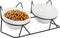 Elevated Tilted Cat Bowls for Indoor Cats, Raised 15° Ceramic Cat Bowl for Food and Water, Anti Vomiting Bowl (Double