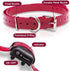 Replacement Collar Strap Bands, 27 1/2 X 3/4” with Double Buckle Loop for Pet Shock Bark Collars and Fences