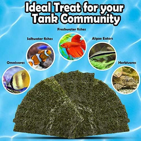 20 Seaweed Sheets for Tangs, Angels, Plecos, Nutrient-Rich Dried Snack for Bottom Feeders, 1 oz. Pet Feed