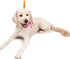 Midlee Dog Unicorn Horn Headband for Halloween Costume