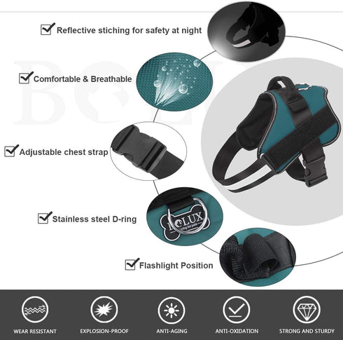 Bolux Dog Harness - No-Pull Reflective Vest, Breathable Adjustable Pet Harness for Outdoor Walking (Turquoise, XS)