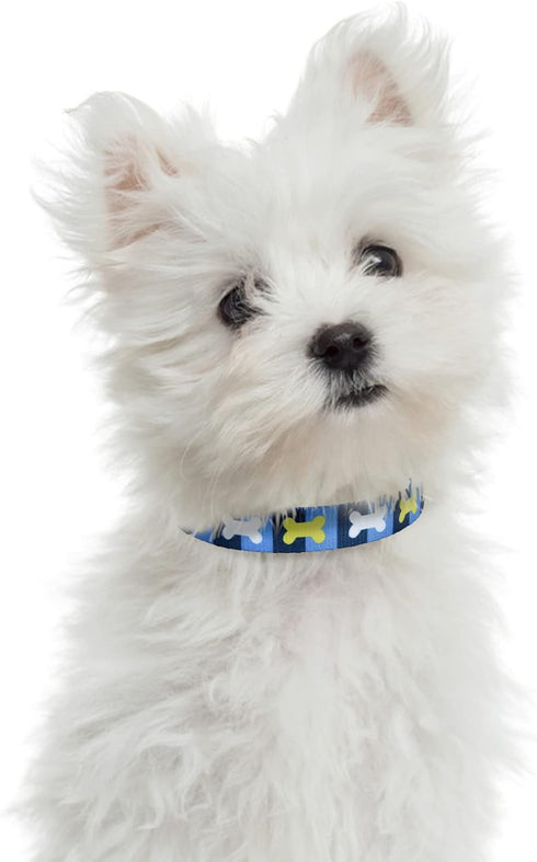 Mile High Life Nylon Puppy Dog Collar | Cute Patterns, Lightweight for Small/Medium/Large Dogs (Blue Bone, Medium Neck