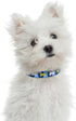 Mile High Life Nylon Puppy Dog Collar | Cute Patterns, Lightweight for Small/Medium/Large Dogs (Blue Bone, Medium Neck