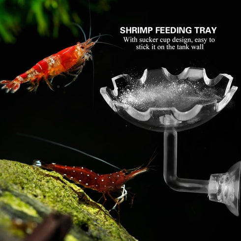 Chiffonade 2.3in Acrylic Shrimp Feeding Dish Suction Cup Aquarium Bowl Smudge Resist Easy Clean for Hermit Crab Reptile