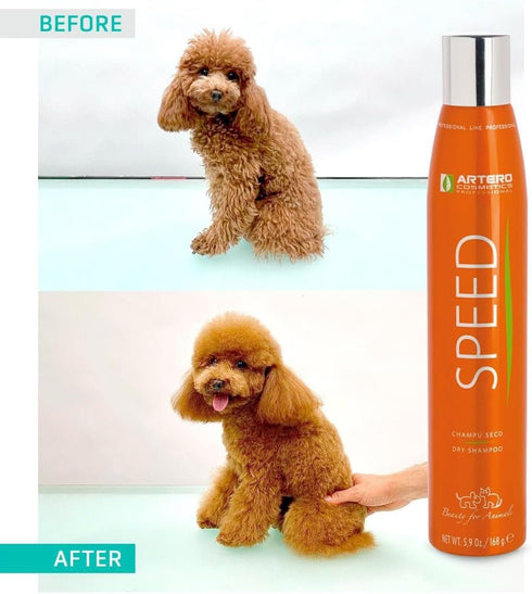 Artero Speed Dry Shampoo 5.9 Oz - Effective No-Rinse Pet Cleanser