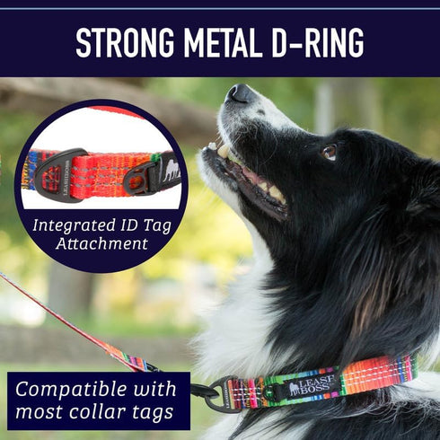 Leashboss Patterned Reflective Dog Collar, Colorful Triple Reflection Threads for Small, Medium and Large Dogs