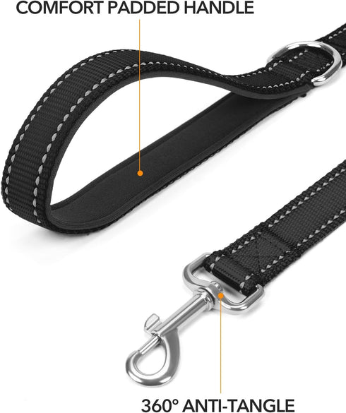 Taglory Dog Leash - Black Double-Sided Reflective Leash with Soft Neoprene Padded Handle, 3/4 inch by 6 ft for Small