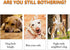 BESTHLS 16 Pack Pet Ball for Dog Small 2inch Tennis Balls for Tiny Small Dogs, Fetching Exercise & Training