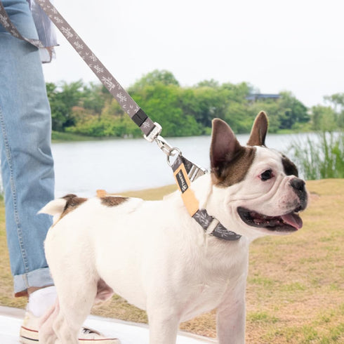Dog Combo premium Collar & Leash, dog collar, Dog leash, Durable metal buckle set, Fashionable recycled webbing, Attachable D-ring, Adjustable size, Size S, Bamboo
