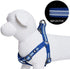 Blueberry Pet Essentials Step-in Reflective Dog Harness, Navy Blue, Small, Adjustable for Chest Girth 16.5" - 21.5"