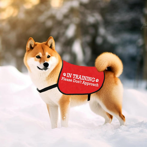 JXGZSO Nervous Do Not Approach Dog Jacket Vest, Nervous Rescue Space Dog Vest with Warning Slogan (Training approach M)