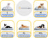 Dog Beds, XX-Large Premium Quality, Washable Portable Eco-Friendly, Stylish Design, Removable Cover, 47.24 x 31.49 Inch