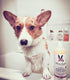 Warren London 2in1 Pet Shampoo and Conditioner for Dogs, Puppies & Cats - Best for Dry Itchy Skin, Gallon Size