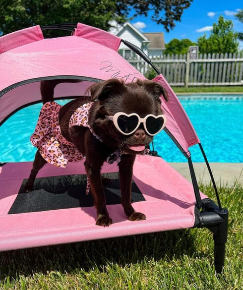 Midlee Pink Dog Cot Bed with Canopy, Large - 30" x 36"