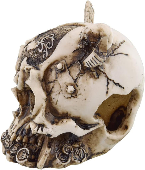 Underwater Treasures Warrior Skull Decoration