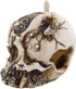 Underwater Treasures Warrior Skull Decoration