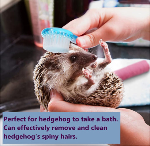 3PC Chinchilla Small Animal Bath Brush with Lid Soft Cleansing Brush Massage Combs for Hedgehog Guinea Pig Rabbit