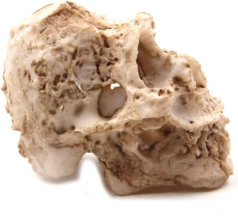 Driak 3Pcs Fish Tank Decorative Aquarium Decorations - Head Bone Skull Resin Ornament for Reptile or Fish