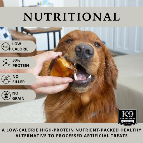K9 50 1 Pack 10 Count Connoisseur Dog Bones Made in USA for Small and Medium Breed Dogs Natural Long Lasting Meaty Beef
