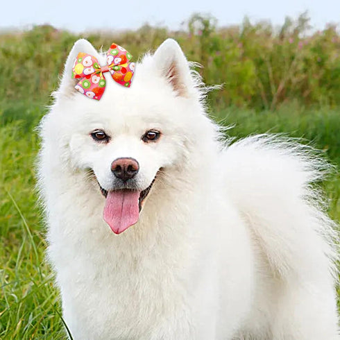 24Pcs/12 4" Summer Pairs Big Dog Hair Bows Fruit for Large Breed Dogs Elastic Hair Bowknot Topknot Girl Female Puppy