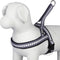 Blueberry Pet 4 Colors Soft & Comfy 3M Reflective Jacquard Padded Dog Harness, Chest Girth 30" - 38.5", Large