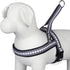 Blueberry Pet 4 Colors Soft & Comfy 3M Reflective Jacquard Padded Dog Harness, Chest Girth 30" - 38.5", Large