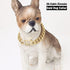 New Gold Dog Chain Collar with Secure Buckle - 15MM Stainless Steel Cuban Link - Luxury Necklace for Small Medium &