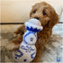 Claws Awoof Dog Toy | Funny Cute Durable Plush Toy with Squeaker for Small Medium Dogs | Cute Dog Birthday Gift