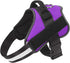 Bolux Dog Harness - No-Pull Reflective Vest, Breathable Adjustable Pet Harness with Handle for Outdoor Walking (Purple,