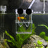 Senzeal Aquarium Fish Breeder Box, Plastic Isolation Breeding Box for Baby Fish, Shrimp, Clownfish, Guppy