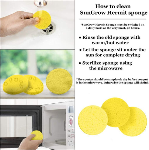 Hermit Crab Sponges for Water, 3 Pack Unbleached Accessories & Supplies, Nutrients and Humidity Maintenance
