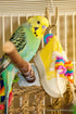 Super Bird Creations SB719 Beaker Sneaker Bird Toy for Small/Medium Birds