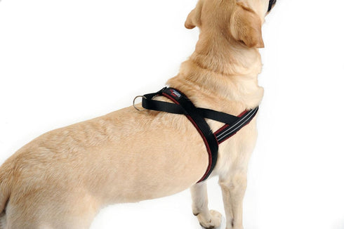 ComfortFlex Sport Harness - American Made No Pull Dog Harness for Large Dogs, Lightweight, Padded