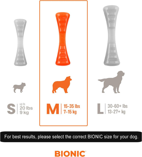 BIONIC Urban Stick Dog Toy, Medium - Interactive Chew Toy for Dogs 15-35 lbs (7-15 kg)
