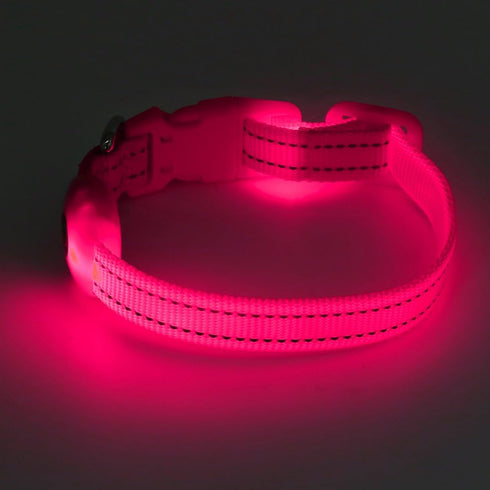 BSEEN LED Dog Collar Light - USB Rechargeable Glow in The Dark Puppy Collar - Safety Dog Lights for Night Walking -