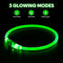 HIGO Light Up Dog Collars, USB Rechargeable LED Dog Collar, High Visibility Puppy Collar for Night Walking (Green)