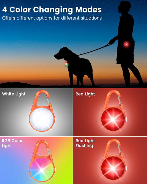 DAAMENT 2 Pack 4 Dog Collar Light, Modes Clip On Dog Lights for Night Walking, Glow in The Dark LED Pet Collar Charm