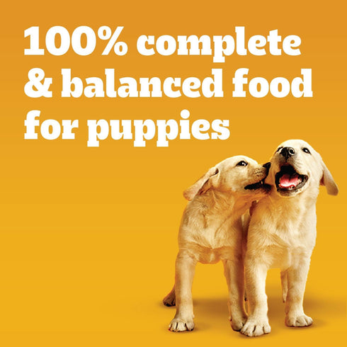 Pedigree Puppy Soft Wet Dog Food Morsels in Sauce with Beef, 3.5 oz Pouches, Pack of 16