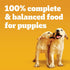 Pedigree Puppy Soft Wet Dog Food Morsels in Sauce with Beef, 3.5 oz Pouches, Pack of 16