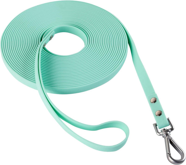 Dog Training Long Leash, Waterproof Heavy Duty Outdoor Recall Lead, 10ft 15ft 20ft 30ft 50ft, Mint Green (30FT)