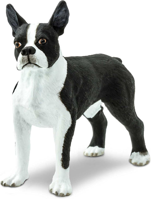 Safari Ltd. Boston Terrier Figurine - Lifelike 2.5" Model Figure - Educational