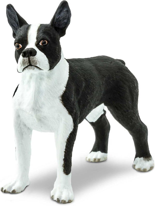 Safari Ltd. Boston Terrier Figurine - Lifelike 2.5" Model Figure - Educational