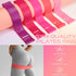 Set 6 Set 14 Arrowbash of Style Pilates Home Equipment Pilates Essential Kit Workout Accessories Magic Circle Mini