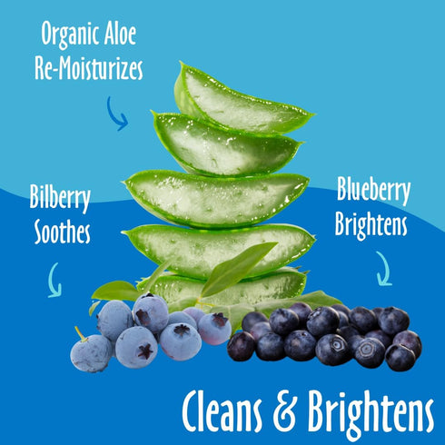 Bilberry 8 Oz earthbath, Foaming Facial Wash - Dog Face Wash, Hypoallergenic, Tear Free Formula, Sulfate & Paraben