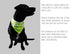 2 Pack Reflective Dog Bandana - Large/Medium/Small, Personalized Neon Color, High Visibility for Night Walking